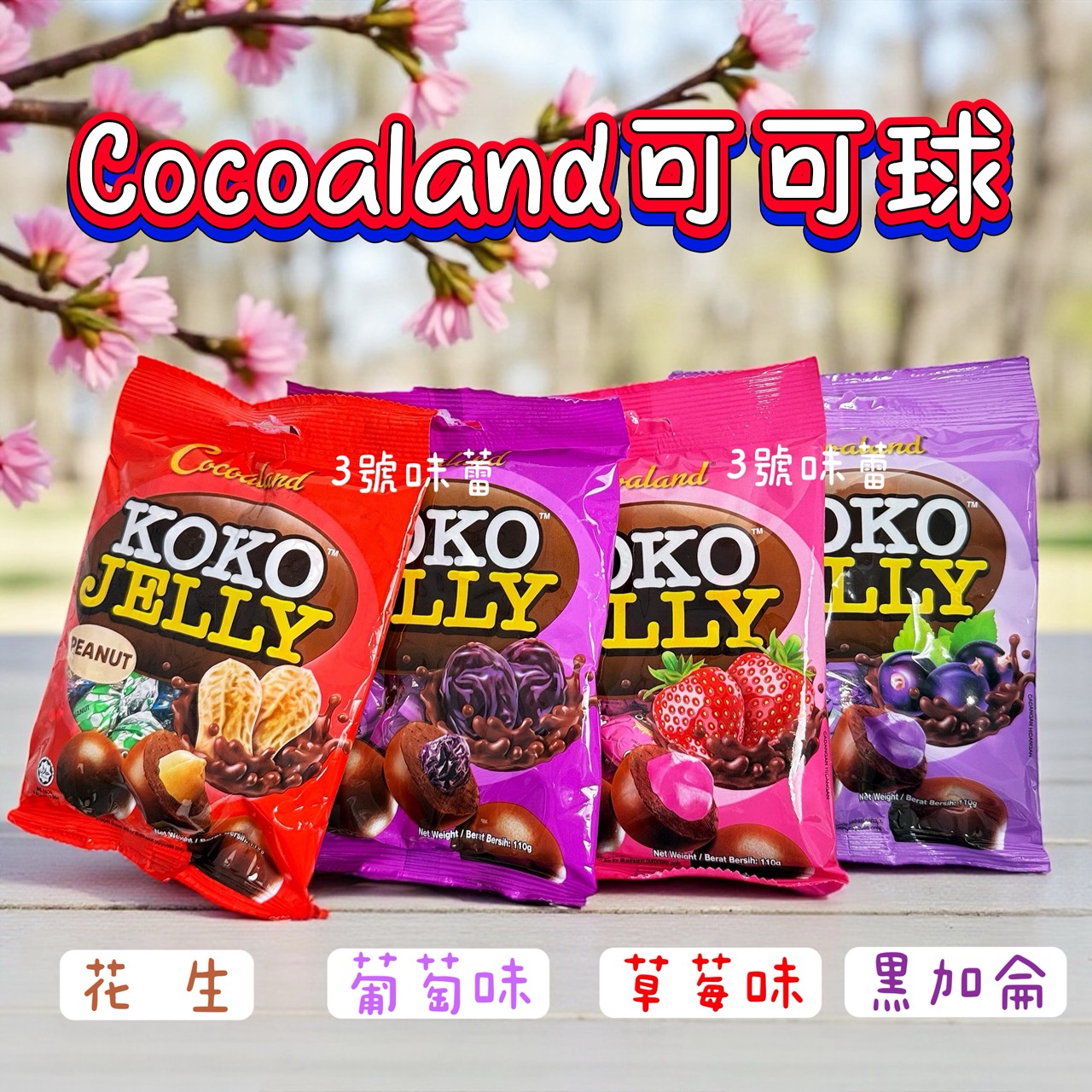 慧鴻-Cocoalan可可球 (花生/葡萄乾/草莓/黑加侖) 110克/袋 (原封包) 奶素